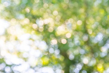 Bokeh ışıkları ile soyut arkaplan