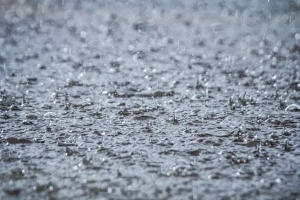 Gotas de lluvia — Foto de Stock