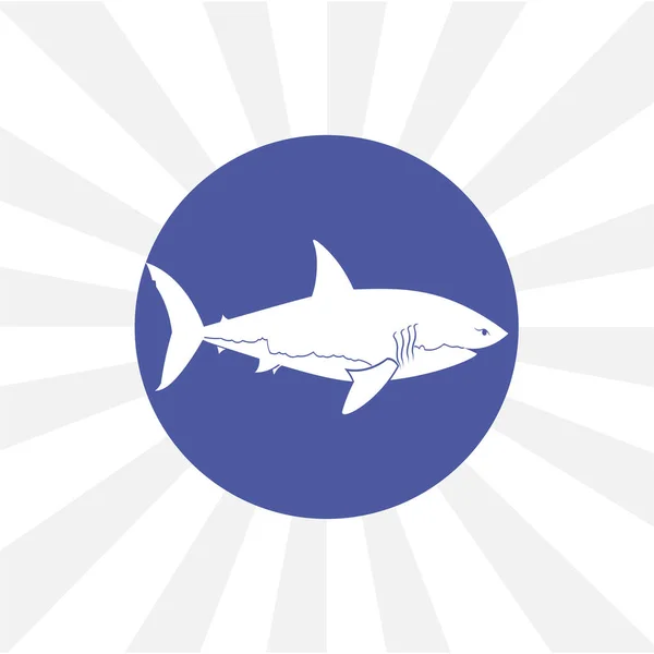Ícone Vetorial Isolado Tubarão Elemento Projeto — Vetor de Stock