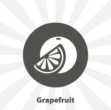 Greyfurt izole vektör ikonu. meyve tasarımı ögesi