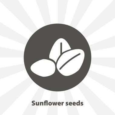 Olgun ayçiçeği tohumu izole vektör ikonu. meyve tasarımı ögesi