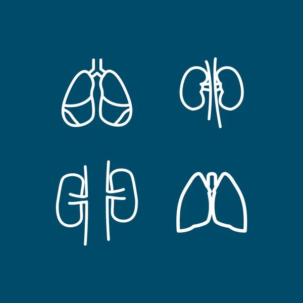 Lungs Kidneys Internal Organs Line Icon Set Lungs Kidneys Internal — Stock Vector