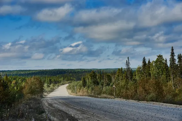 Estrada de cascalho rural na floresta — Fotografia de Stock
