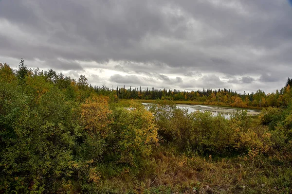 Erdő folyó őszi színek az erdőben — Stock Fotó