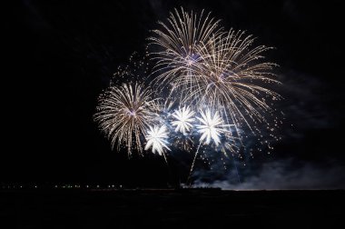 Yeni yılın şerefine selam verin.