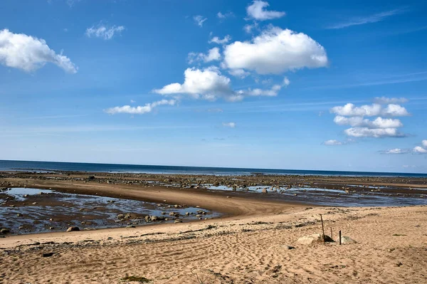 Αμμώδης Παραλία Στην Ακτή Onega Της Λευκής Θάλασσας Μια Αμμώδης — Φωτογραφία Αρχείου