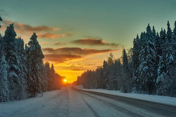 Asphaltstraße im Wald im Winter bei Sonnenuntergang — Stockfoto