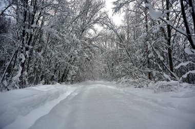 Kırsalda karla kaplı bir yol