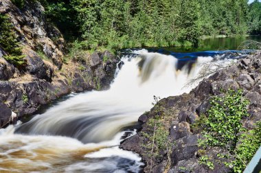 Ormandaki bir nehirde şelale.