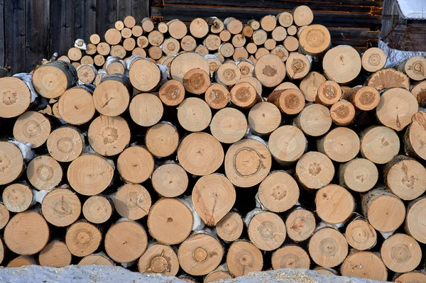 Troncos, lenha colocada, Um tipo de seção transversal de toras de madeira redondas de várias espécies de árvores — Fotografia de Stock