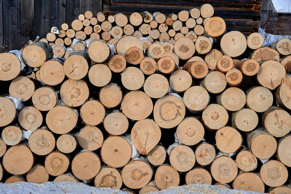 Rundstämme, aufgelegtes Brennholz, eine Art Querschnitt aus Rundstämmen verschiedener Baumarten — Stockfoto