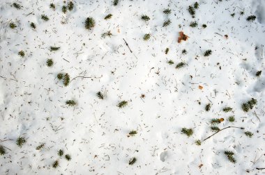 Noel ağacından düşen iğneler karın, arka planın ve dokunun üzerinde yatıyor.
