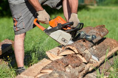 Yazın güneşli bir günde testere ile kereste kesiyorum.
