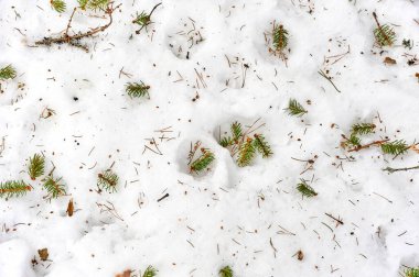 Noel ağacından düşen iğneler karın, arka planın ve dokunun üzerinde yatıyor.