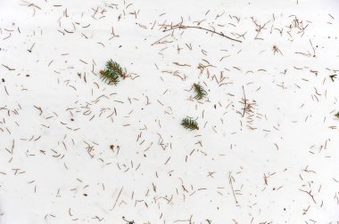 Noel ağacından düşen iğneler karın, arka planın ve dokunun üzerinde yatıyor.