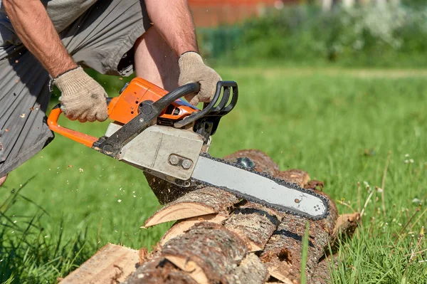 Holzsägen mit der Motorsäge an einem sonnigen Sommertag — Stockfoto