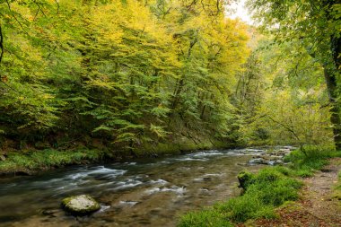 Barle Nehri 'nin Exmoor Ulusal Parkı' ndaki Tarr Basamakları 'ndaki Barle Vadisi' nden geçişi uzun sürdü.