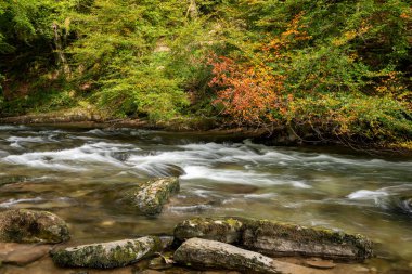 Barle Nehri 'nin Exmoor Ulusal Parkı' ndaki Tarr Basamakları 'ndaki Barle Vadisi' nden geçişi uzun sürdü.