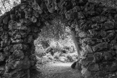 Stourton. Wiltshire. Birleşik Krallık. 20 Ekim. Wiltshire 'daki Stourhead Gardens' da bir kemer görünüyor..