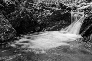 Hoar Oak Nehri 'nin üzerinde Exmoor Ulusal Parkı' ndaki Watersmeet 'te akan şelalenin uzun pozu.
