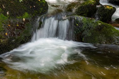 Hoar Oak Nehri 'nin üzerinde Exmoor Ulusal Parkı' ndaki Watersmeet 'te akan şelalenin uzun pozu.