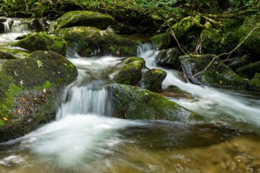 Hoar Oak Nehri 'nin üzerinde Exmoor Ulusal Parkı' ndaki Watersmeet 'te akan şelalenin uzun pozu.