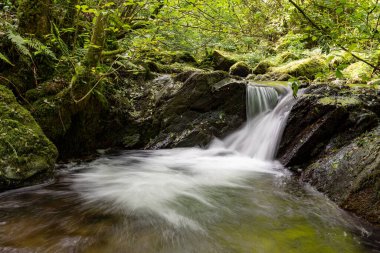 Hoar Oak Nehri 'nin üzerinde Exmoor Ulusal Parkı' ndaki Watersmeet 'te akan şelalenin uzun pozu.