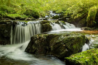 Hoar Oak Nehri 'nin üzerinde Exmoor Ulusal Parkı' ndaki Watersmeet 'te akan şelalenin uzun pozu.