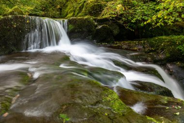 Hoar Oak Nehri 'nin üzerinde Exmoor Ulusal Parkı' ndaki Watersmeet 'te akan şelalenin uzun pozu.