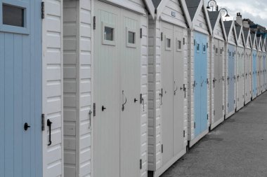 Dorset 'teki Lyme Regis' te bir sıra plaj kulübesinde renk sıçraması.