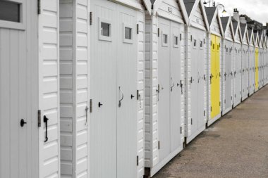 Dorset 'teki Lyme Regis' te bir sıra plaj kulübesinde renk sıçraması.