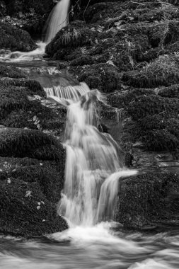 Doğu Lyn nehrinin üzerinde Exmoor Ulusal Parkı 'ndaki Watersmeet' te akan şelalenin uzun pozu