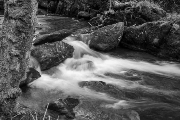 Długa Ekspozycja Wodospadu Rzece East Lyn Przepływającego Przez Lasy Watersmeet — Zdjęcie stockowe