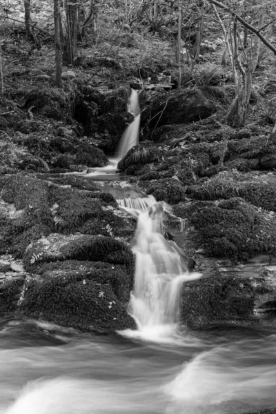 Lång Exponering Ett Vattenfall East Lyn Floden Rinner Genom Skogen — Stockfoto