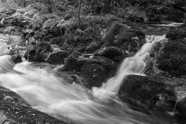 Lång Exponering Ett Vattenfall East Lyn Floden Rinner Genom Skogen — Stockfoto