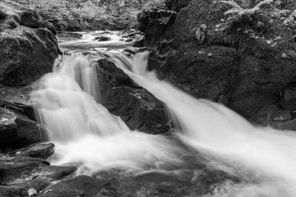 Lång Exponering Ett Vattenfall East Lyn Floden Rinner Genom Skogen — Stockfoto