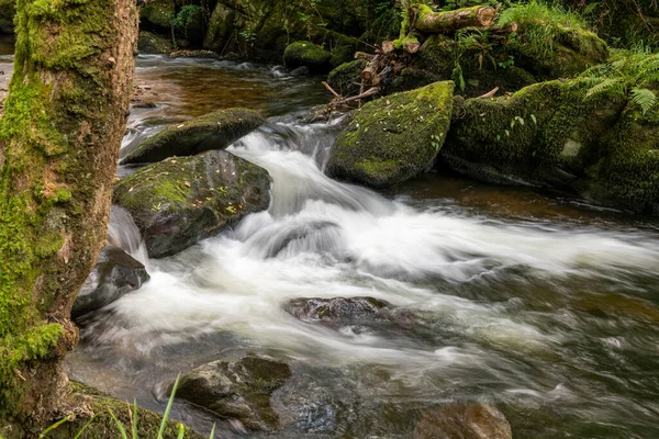 Lång Exponering Ett Vattenfall East Lyn Floden Rinner Genom Skogen — Stockfoto