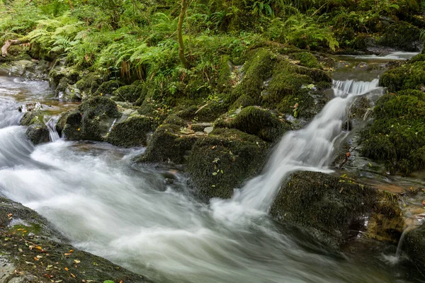 Lång Exponering Ett Vattenfall East Lyn Floden Rinner Genom Skogen — Stockfoto