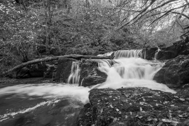 Exmoor Ulusal Parkı 'ndaki Watersmmet' te Hoar Oak nehrinde uzun süre bir şelale görüldü.