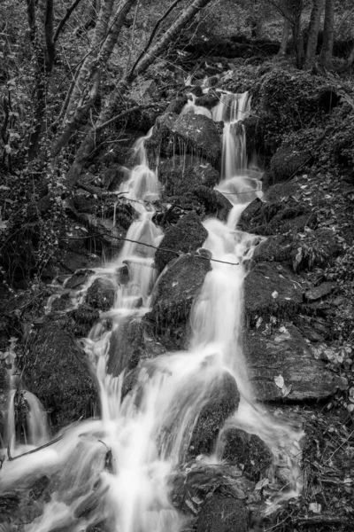 在Exmoor国家公园的Watersmeet 长期暴露在流入East Lyn河的瀑布中 — 图库照片