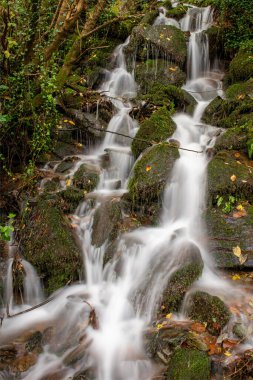 Exmoor Ulusal Parkı 'ndaki Watersmeet' te Doğu Lyn Nehri 'ne akan bir şelalenin uzun pozu