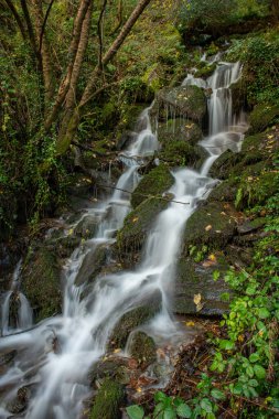 Exmoor Ulusal Parkı 'ndaki Watersmeet' te Doğu Lyn Nehri 'ne akan bir şelalenin uzun pozu
