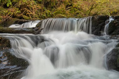 Sonbaharda Exmoor Ulusal Parkı 'ndaki Watersmmet' te Hoar Oak Nehri 'nde bir şelaleye uzun süre maruz kalmak