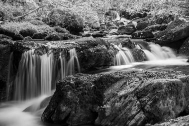 Hoar Oak Nehri 'nin üzerinde Exmoor Ulusal Parkı' ndaki Watersmeet 'te akan şelalenin uzun pozu.