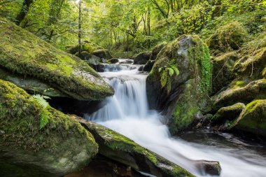 Hoar Oak Nehri 'nin üzerinde Exmoor Ulusal Parkı' ndaki Watersmeet 'te akan şelalenin uzun pozu.