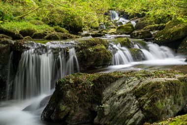 Hoar Oak Nehri 'nin üzerinde Exmoor Ulusal Parkı' ndaki Watersmeet 'te akan şelalenin uzun pozu.