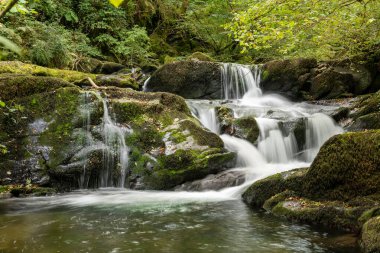 Hoar Oak Nehri 'nin üzerinde Exmoor Ulusal Parkı' ndaki Watersmeet 'te akan şelalenin uzun pozu.