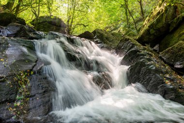 Hoar Oak Nehri 'nin üzerinde Exmoor Ulusal Parkı' ndaki Watersmeet 'te akan şelalenin uzun pozu.
