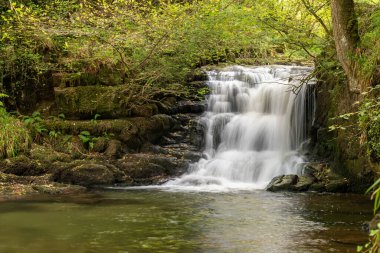 Exmoor Ulusal Parkı 'ndaki Watersmeet' teki büyük şelalenin uzun pozu