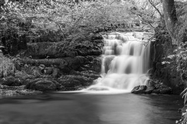 Exmoor Ulusal Parkı 'ndaki Watersmeet' teki büyük şelalenin uzun pozu